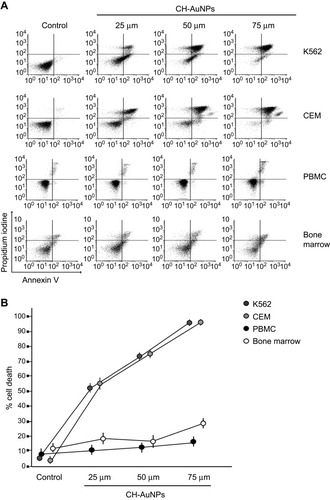 Figure 1 Phosphatidylserine exposure and membrane permeability of K562, CEM, PBMC, and bone marrow cells after CH-AuNPs treatment. (A) Cell death analysis by flow cytometry using Annexin-V and propidium iodide (PI) staining in K562, CEM, and non-cancer cells, PBMC, and bone marrow treated with different concentrations of CH-AuNPs for 24 hrs. (B) Quantification of cell death assessed as in (A).