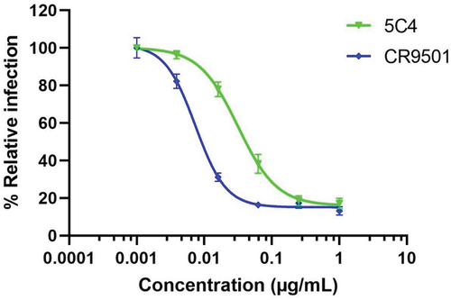 Figure 6. The neutralizing activity of plant-produced anti-RSV mAbs. Both plant-produced mAbs show a dose-dependent viral inhibitory effect. Error bars denote standard deviation of triplicate samples. The inhibitory concentration (IC50) was calculated using a normalized response with a variable slope in GraphPad Prism software version 9.3.