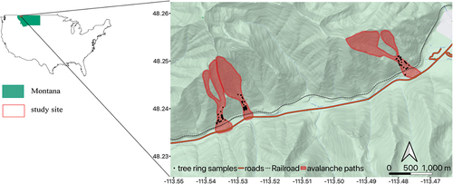 Figure 1. Study site. The red rectangle in the state of Montana (green polygon) within the United States designates the general area of the study site. From west to east (left to right on the map), the avalanche paths are Shed 10–7, Path 1163, and Shed 7.
