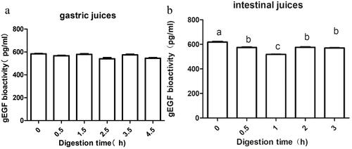 Figure 1. Changes of gEGF concentration after digestion with artificial gastric juice and artificial intestinal juice. (a) artificial gastric juice. (b) artificial intestinal juice. values are mean ± SEM. n = 3. a–b–c Means with different superscripts in the same row indicate significantly difference (p < .05). Abbreviations: gEGF: gallus epidermal growth factor; SEM: Standard error of means.