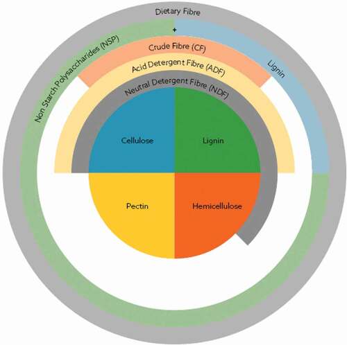 Figure 1. Fibre composition. Adapted from Choct, Citation2015