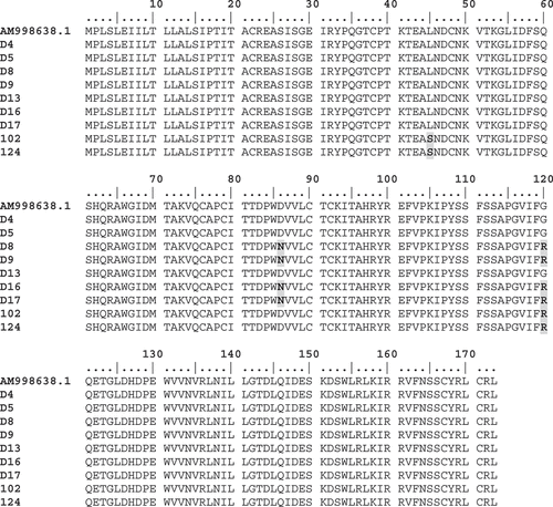 Fig. 3 Protein sequences alignment of reference isolates and the reference a4A7 sequence (AM998634.1) showing the variants of the AvrLm4-7 protein. Isolates virulent and avirulent towards Rlm4 and Rlm7 respectively display the amino acid change of Glycine to Arginine (G120→R120) which is responsible for the loss of avirulence towards Rlm4. Local isolates (102 and 124) show an amino acid change of Leucine to Serine (L45→S45), and reference isolates D8, D9, D16, and D17 display a different amino acid change of Aspartic acid to Asparagine (D86→N86).