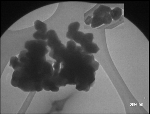Figure 4. TEM image of Fe2TiO5 powders calcined at 900°C for 2 h.