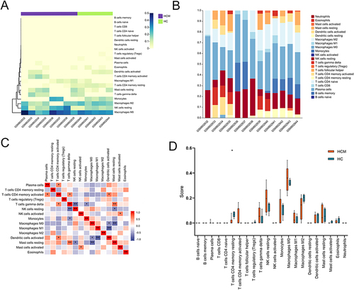 Figure 4 Immune infiltration analysis between HCM patients and healthy controls. (A) Clustering of twenty-two immune cells in HCM and healthy control samples. (B) The percentage of twenty-two subpopulations of immune cells for each sample in HCM and healthy controls. (C) Correlation analysis between twenty-two immune cells in HCM. (D) The difference of immune cells between HCM patients and healthy controls.