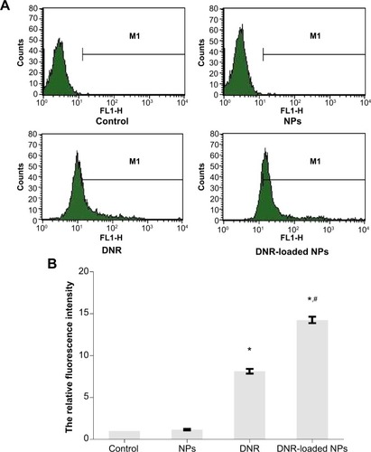 Figure 3 Intracellular accumulation of DNR in K562 cells incubated for 48 hours by FCM assay (A). Intracellular relative fluorescence intensity associated with DNR (B).Notes: *P<0.05 when compared with the control group and #P<0.05 when compared with the DNR group.Abbreviations: DNR, daunorubicin; FCM, flow cytometry; NPs, nanoparticles.