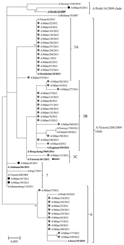 Figure 5. Phylogenetic tree based on A(H3N2) viruses HA1 amino acid sequences. Only bootstrap values above 70% value are shown. Sequences from viruses detected during the 2010–2011 season are highlighted by a black dot; those from the 2011–2012 season by a gray dot. The reference viruses are in bold. The vaccine A(H3N2) virus for the 2010–2011 and 2011–2012 seasons (A/Perth/16/2009) is underlined. The vaccine A(H3N2) virus for the 2012–2013 season (A/Victoria/361/2011) is indicated by an arrow.