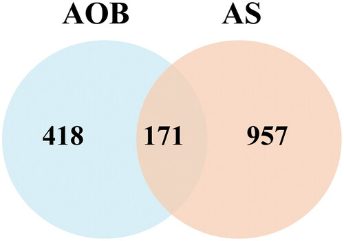 Figure 2. Targets screening involved in AOB for the treatment of AS. Venn diagram of disease targets.