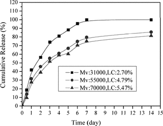 Figure 6 Influence of CS Mv on lysozyme in vitro. release behavior.