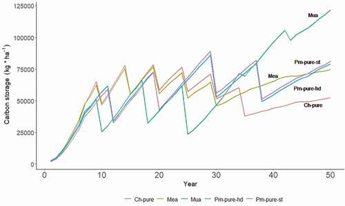 Figure 3. The development of carbon storage for all silvicultural options