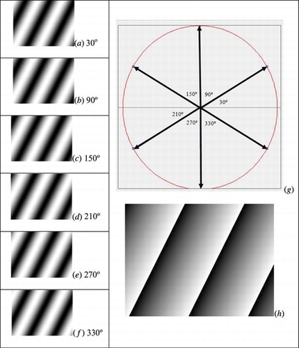 Figure 5 Synthetic images used to validate the proposed algorithm.