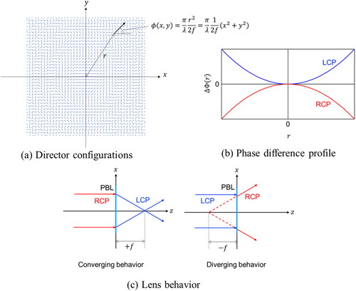 Figure 13. Pancharatnam–Berry lens (PBL).