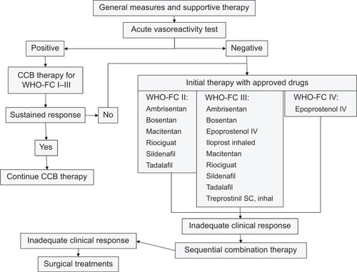 Figure 3 Therapeutic approach for pulmonary arterial hypertension based on the WHO-FC.