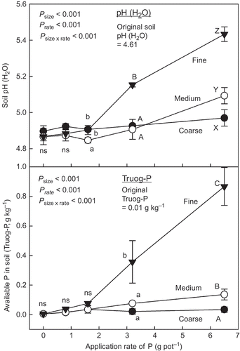 Figure 8 Soil pH (water, H2O) and Truog-phosphorus (P) in soil after harvesting the plants. See Table 7 for details of the different size biochars. Different letters within the same application rate of P show significant difference among the different size biochars by Tukey test (P < 0.05). ns, no significant difference. Error bars represent standard deviation (n = 3).