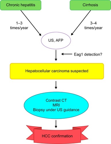 Figure 2 Follow-up for patients at risk of HCC.