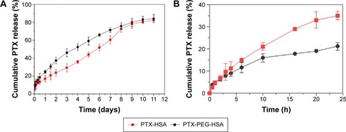 Figure 4 (A) In vitro release of PTX from PTX-PEG-HSA and PTX-HSA in media of PBS at pH 7.4; (B) PTX release profiles of PTX-HSA and PTX-PEG-HSA in 10% serum supplemented media at pH 7.4.Note: Data are presented as the mean ± SD (n=3).Abbreviations: PTX, paclitaxel; PEG, polyethylene glycol; HSA, human serum albumin; PBS, phosphate-buffered saline; SD, standard deviation.