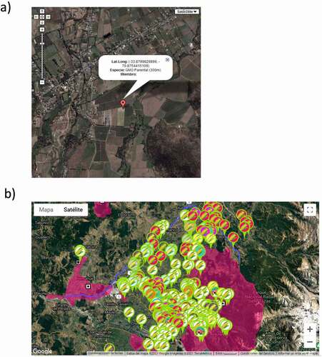 Figure 1. Chile’s Seed trade association (ANPROS) isolation system screenshots. This GPS-based platform enables coexistence between different varieties of non-GMO crops and between GMOs and non-GMOs. a) Georeferenced position of a GMO field; b) Multiple seed corn fields spatially arranged to avoid cross-pollination in order to maintain the reliability and quality of seeds.