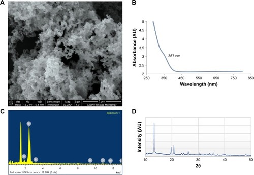 Figure 1 Characterization of lipophilic bismuth nanoparticles (BisBAL NPs).Notes: (A) Shape, size, and shape-and-size distribution of BisBAL NPs were obtained by scanning electron microscopy. (C) The presence of bismuth was confirmed by the emission lines characteristic of this element, as can be seen in the spectrum. The signal at 1.486 keV is due to the aluminum substrate where the sample was placed. (B) and (D) The UV-visible absorbance and the X-ray diffractometry pattern of BisBAL NPs.
