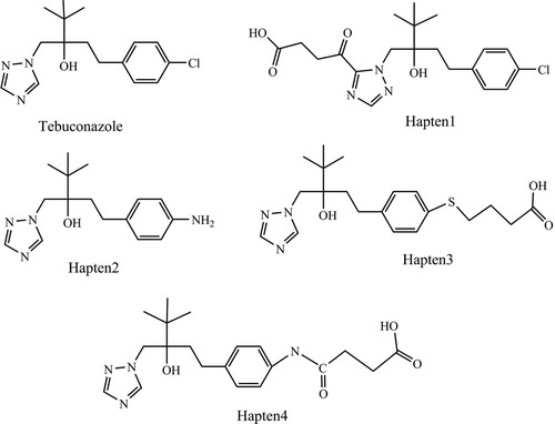 Figure 1. Chemical structures of tebuconazole and four haptens.