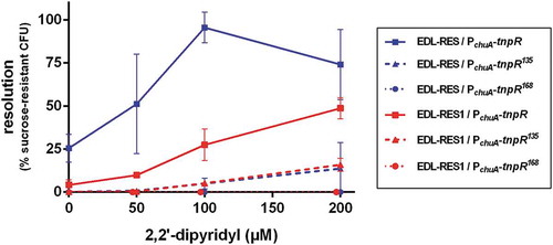 Figure 1. Efficiency of the RIVET system in EHEC. Indicated strains carrying tnpR gene under the control of chuA promoter were grown in LB supplemented with various concentrations of 2,2ʹ-dipyridyl. After 6 h of growth, cultures were enumerated on LB plates and on LB + sucrose plates to calculate the percentage of resolved CFU. Results are presented as mean and standard deviations from at least three independent experiments. Blue and red curves represent resolution obtained from the 3 tnpR variants inserted into EDL-RES and EDL-RES1 strains, respectively.