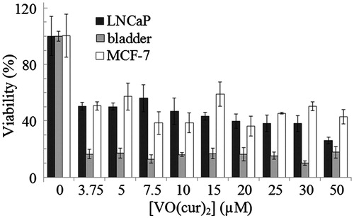 Figure 7. Viability of MCF-7 (C135) breast cancer, bladder (C5637) and LNCaP (C439) prostate carcinoma cell lines at various concentrations of vanadyl curcumin (VO(cur)2) assayed by MTT method.