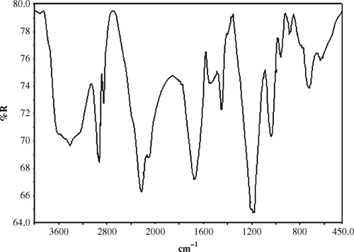 Figure 2.  FT-IR spectrum of Na-PVSA.