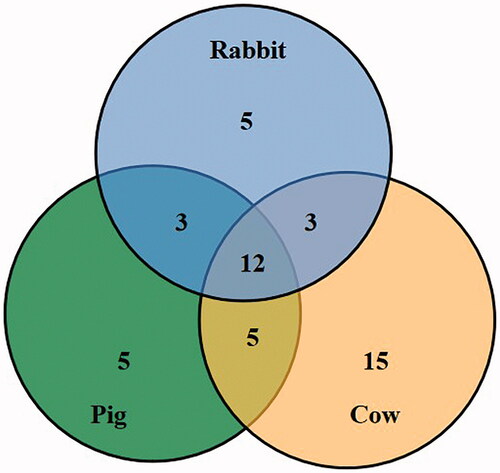 Figure 3. The overlapping and differential soybean agglutinin specific binding cytoskeleton proteins in three animal species.