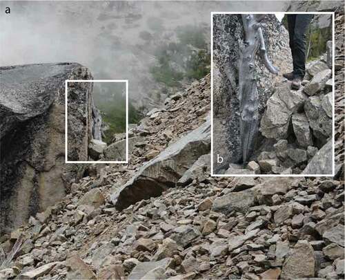 Figure 5. Hellraving rock glacier: (a) oldest sample (HRG16; AD 1674) shown pressed up against the proximal face of a large boulder and (b) close-up view of the sample, person for scale