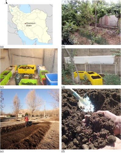 Figure 1. Study area: location on country map (a); a typical small farmer’s orchard (b); indoor vermicomposting containers at small farmer farm (c); outdoor vermicomposting (d); farmer working on vermicompost in early spring (e); vermicompost (f) [Source: (a):(Wikipedia, Citation2023); (b) – (f): authors’ personal archive].