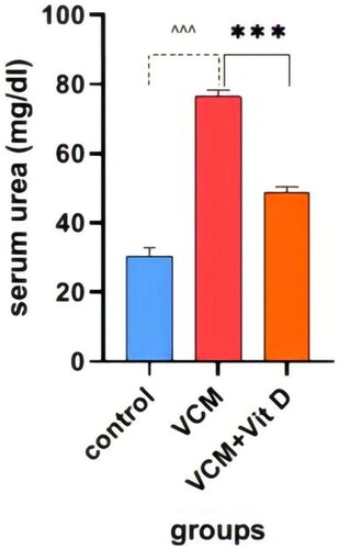 Figure 4. Effect of vancomycin and vitamin D3 on kidney function as urea levels in plasma. The data are expressed in mean ± SEM and n = 7 in each group. Normal diet (control); vancomycin exposed group without treatment (VCM); vancomycin exposed group treated with vitamin D3 (VCM + Vit D) groups. ^^^p < 0.0001 compared with the corresponding value in the control group. ***p < 0.0001 compared with the corresponding value in the VCM group.