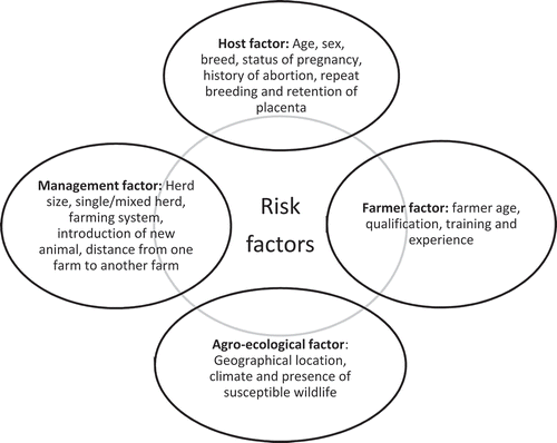 Figure 1. Risk factors for Brucella infection in animals classified in four groups.
