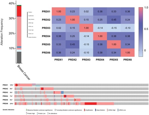 Figure 6 PRDXs expression and mutation analysis in breast cancer (cBioPortal).