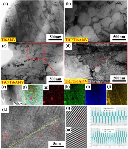 Figure 6. Microstructure of the SLM-formed Ti6Al4 V and TiC/Ti6Al4 V composites at 900°C, 1s−1 strain rate and 30% deformation: (a) Ti6Al4 V; (b-e) TiC/Ti6Al4 V composites; (f-j) precipitated phase TiC surface scan element distribution map; (k-m) HRTEM images of TiC/Ti6Al4 V composites.