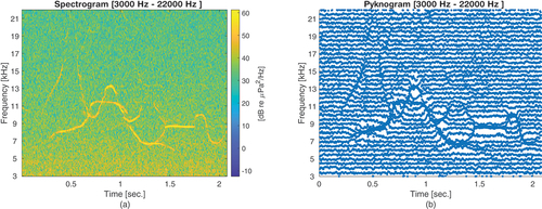 Figure 1. (a) Spectrogram computed using a hamming window of length 10.7 ms (which results in 93.5 Hz frequency bin resolution) and (b) pyknogram computed using a filterbank of 1kHz bandwidth with 50% frequencial overlapping (which results in 500 Hz frequency bin resolution) of an underwater recording containing multiple dolphin whistles.