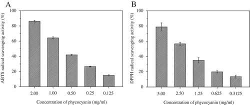 FIGURE 5 Antioxidant activity of phycocyanin as determined by ABTS and DPPH methods.