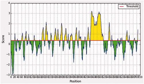 Figure 1. Bepipred linear epitope prediction, the yellow peaks above the red line (threshold) are proposed to be a part of B-cell epitopes and the green peaks are not a part.