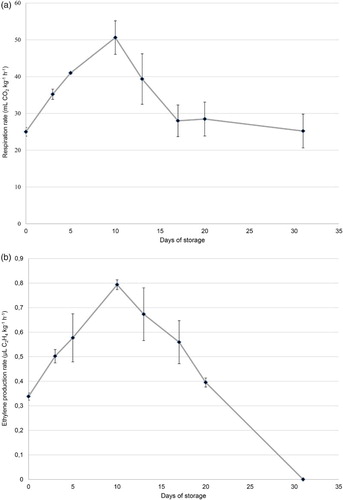 Figure 2. (A), Respiration rate and (B), ethylene production evaluated on 3 replicates of 10 tulip flowers each (composed by a mixture of 8 cultivars) (± SE, n = 3) stored at 0°C for 31 days using a cellulose film (cellophane™) for packaging (conventional packaging).