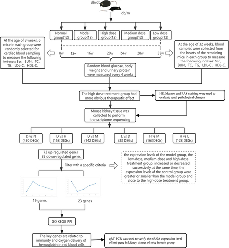 Figure 1 Study design.