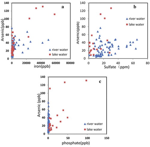 Figure 2. Correlation analyses of arsenic and phosphate (a), iron (b), sulfate (c), in surface water samples in SAYR.