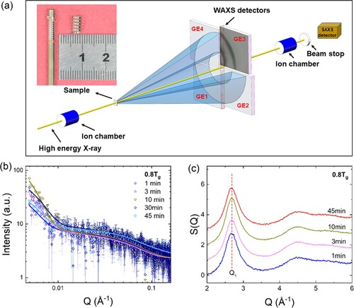 Figure 1. a. Schematic diagram of the setup at beamline 1-ID of the advanced photon source (APS) concurrent with wide-angle X-ray scattering (WAXS) and small-angle X-ray scattering (SAXS). The inset is a photograph of a wound glassy ribbon annealed at 0.8 Tg. Simultaneous b. SAXS and c. WAXS profiles of samples annealed at 0.8 Tg.