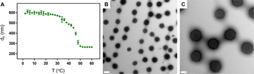 Figure 1. (A) Hydrodynamic diameter (dh) of nanogels as a function of the temperature. (B) and (C) Transmission electron microscopy images of nanogels. Scale bars are 500 nm in (B) and 200 nm in (C).