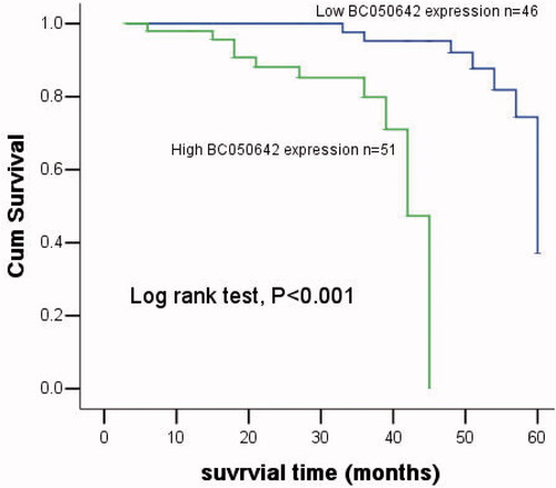 Figure 6. Kaplan–Meier analysis for osteosarcoma patients according to their expression of BC050642. Patients with high BC050642 expression had shorter overall survival than those with low BC050642 expression (log-rank test, p<.001).