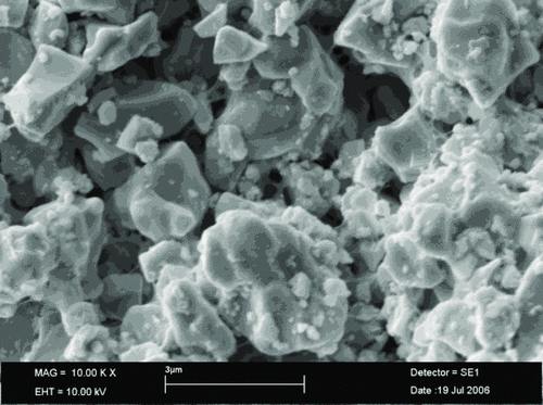 Figure 4 SEM image of δ-Bi2O3 doped with 15% mol Tb4O7