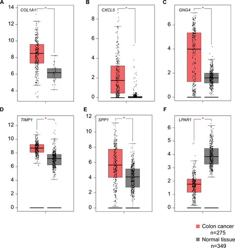 Figure S1 Expression levels of six DEGs in colon cancer tissues and normal tissues.