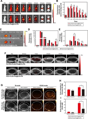 Figure 4 Biodistribution and tumor accumulation and in vivo PA and US imaging of FA-PEG-PLGA-Ptx@ICG-Pfh NPs.Notes: (A) Biodistribution of NPs in MDA-MB231 tumor-bearing mice by in vivo fluorescent imaging; (B) fluorescence intensity (tumor:background) ratio of MDA-MB231 tumor-bearing mice administered NPs; (C) fluorescence imaging of main organs and tumors 24 hours after injection of FA-PEG-PLGA-Ptx@ICG-Pfh or PEG-PLGA-Ptx@ ICG-Pfh NPs; (D) fluorescence intensity of main organs and tumors after 24 hours after of NPs; (E) average PA intensity of ROI after intravenous injection of NPs at different time points; (F) PA imaging of intravenously injected NP accumulation in MDA-MB231 tumor-bearing mice at different time points; (G) US monitoring of NIR laser irradiation 1 hour after intravenous injection of NPs in MDA-MB231 tumor-bearing mice; (H) echo intensity of ROI in B-mode US before and after laser irradiation; (I) echo intensity of ROI in CEUS before and after laser irradiation. *P<0.05; **P<0.01.Abbreviations: PA, photoacoustic; US, ultrasound; FA, folic acid; PEG, polyethylene glycol; PLGA, poly(lactide-co-glycolic acid); Ptx, paclitaxel; ICG, indocyanine green; Pfh, perfluorohexane; NPs, nanoparticles; ROI, region of interest; CEUS, contrast-enhanced US.