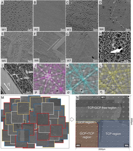 Figure 2. (A-G) SEM images of W1-W7 alloys; (H, I) the magnified images of σ, µ and η phases, respectively; (J, K, L) the electron backscattered diffraction Kikuchi patterns of µ, σ, and η, respectively; (M) labeled and (N) montaged SEM images of NiX-6W-4Nb diffusion triple.