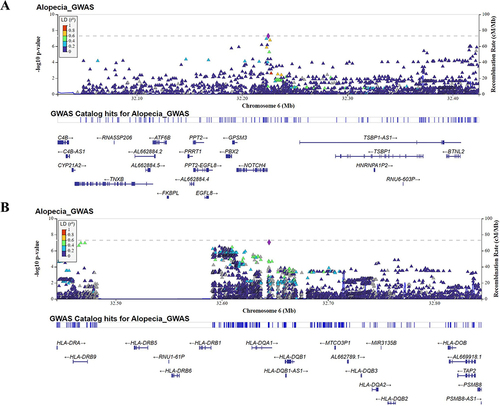 Figure 3 Regional association plot of NOTCH4 (A) and HLA-DQA1 gene (B) in AA. Regional plots for the loci showing significant differences in effect-size estimates. The plot typically shows the position of each SNP along the x-axis and the negative log10 P-value. Color of the point was used to show the linkage disequilibrium (LD) between SNPs.