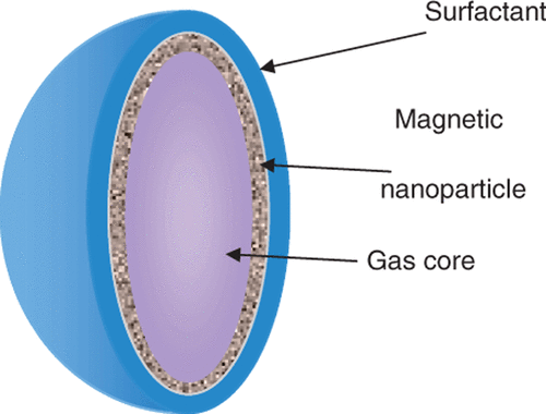 Figure 1. Theoretical structure of a magnetic microbubble based upon the formulation by Stride et al. The gas core is surrounded by a ferrofluid and stabilized by an outer coating of L-α-phosphatidylcholine. The average size is about 2 µm.