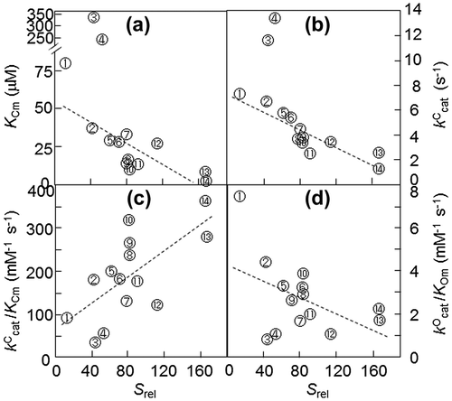 Fig. 2. Natural variation in the kinetic parameters of RuBisCO measured in vitro at 25 °C.Citation8)
