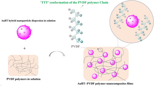 Figure 3. Schematic representation of the β-phase nucleation mechanism through positive ion − CH dipole interactions.