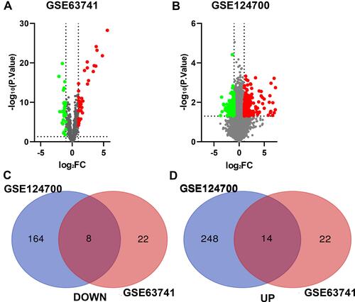 Figure 2 Identification of DEGs in AD. (A) The differentially expressed genes of GSE63741. (B) The differentially expressed genes of GSE124700. (C) 8 DEGs were consistently downregulated in the two datasets. (D) 14 DEGs were consistently upregulated in the two datasets. The green point represents downregulated genes, the red point represents upregulated. |log FC|>1 and p-value <0.05 were set as the difference.
